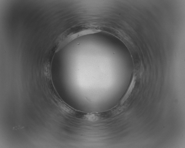 X0000073990425200609061002