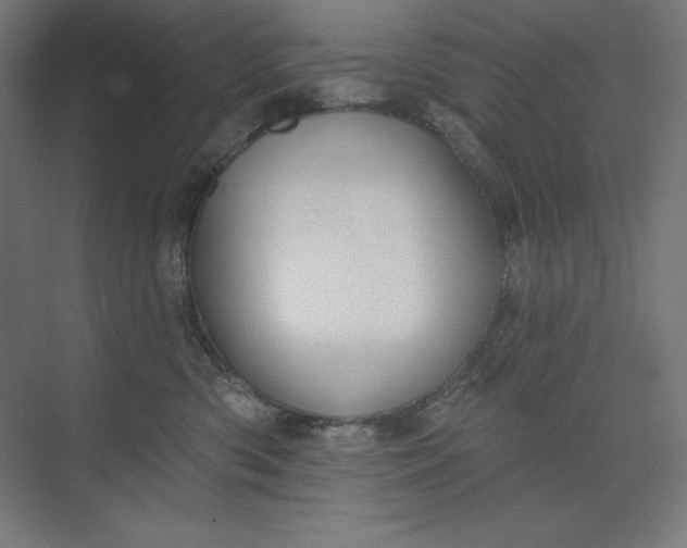 X0000073990426200609061002