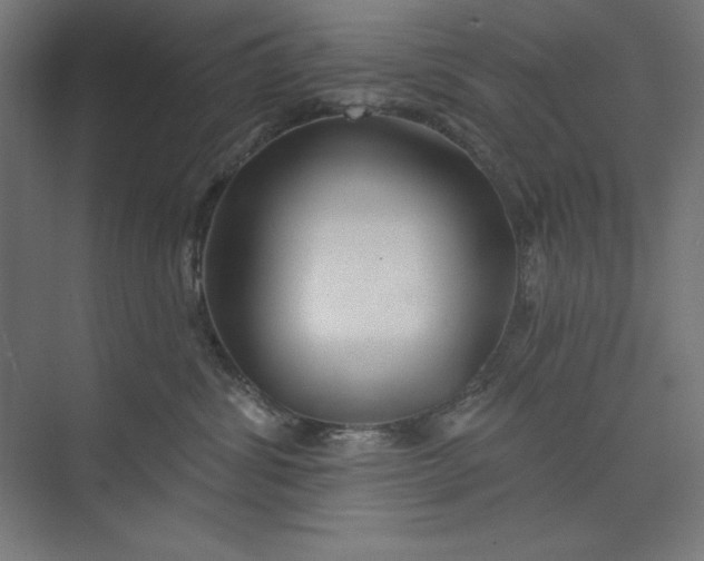 X0000073990428200609061002