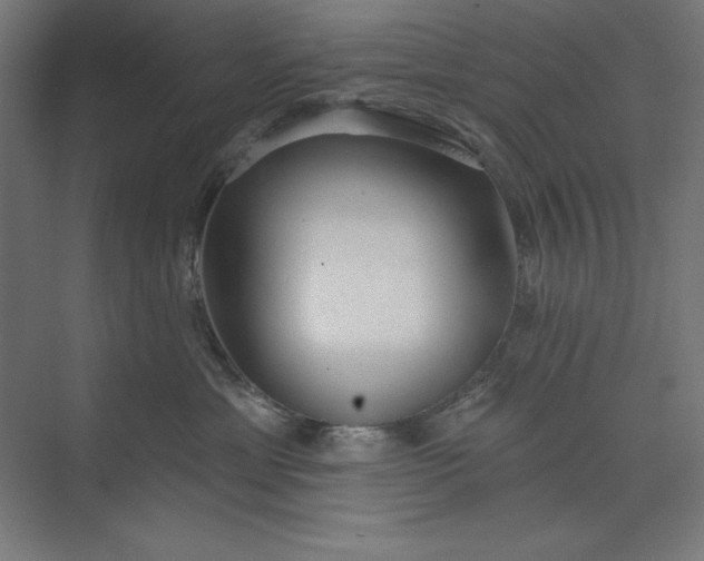 X0000073990429200609061002