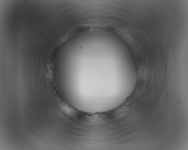 X0000073990430200609061002