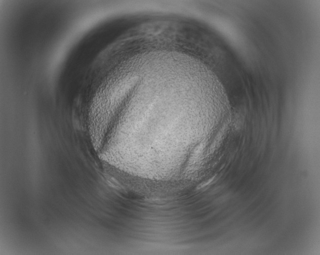 X0000073990431200609061002