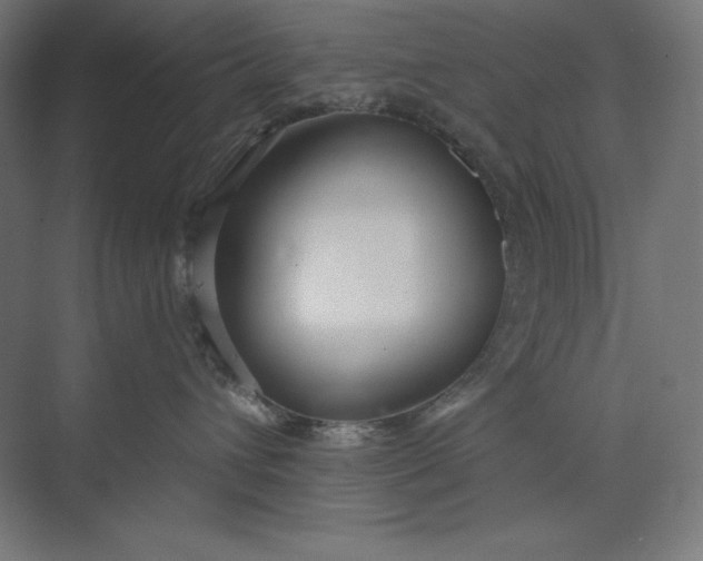 X0000073990432200609061002