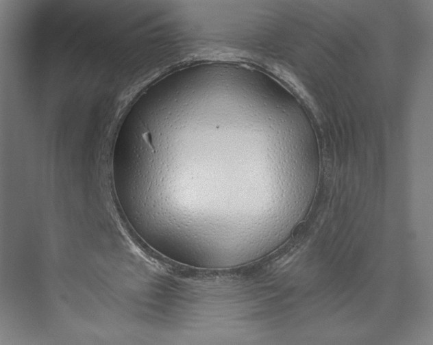 X0000073990433200609061002