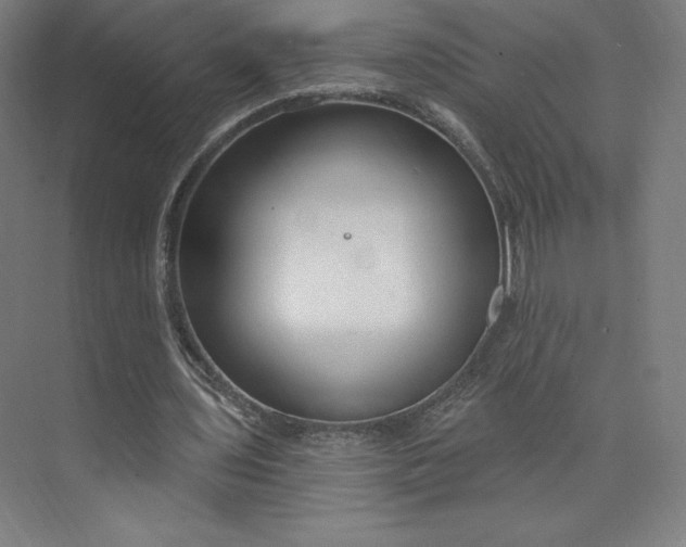 X0000073990435200609061002