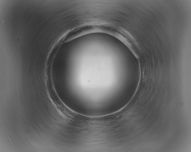 X0000073990436200609061002