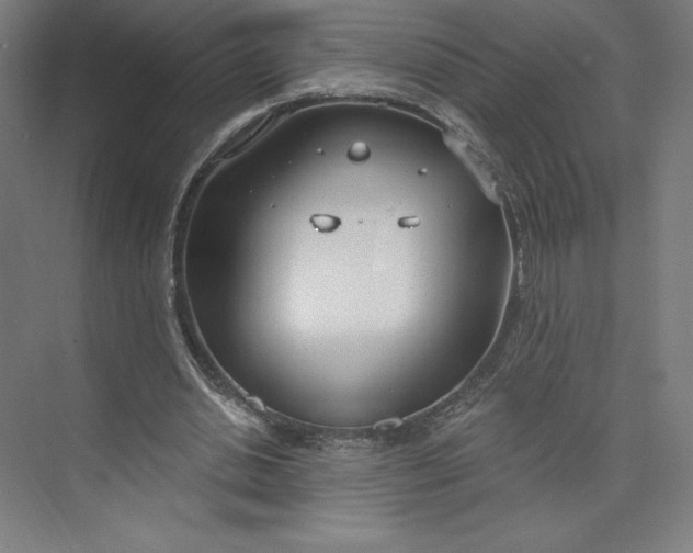 X0000073990438200609061002