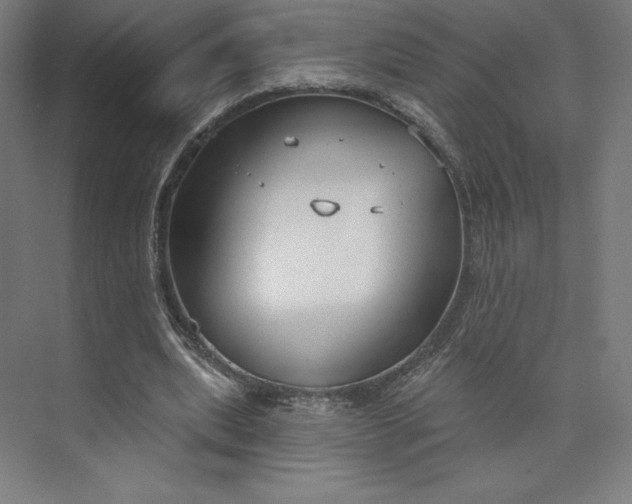 X0000073990439200609061002