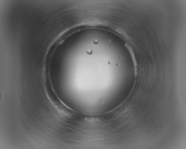 X0000073990440200609061002