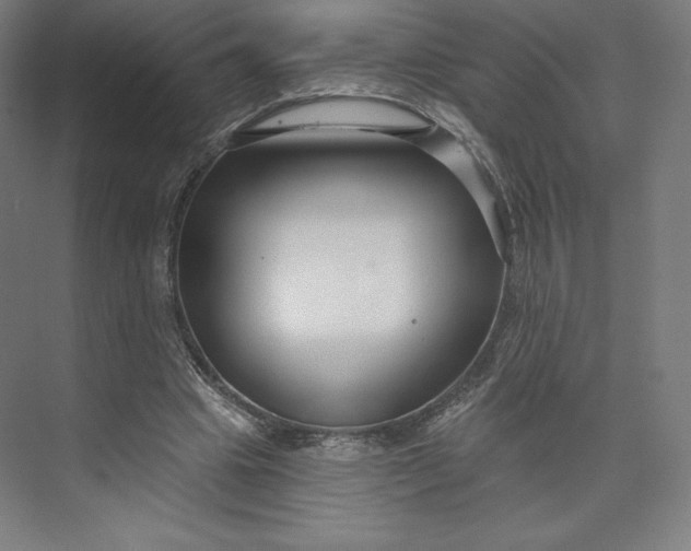 X0000073990441200609061002