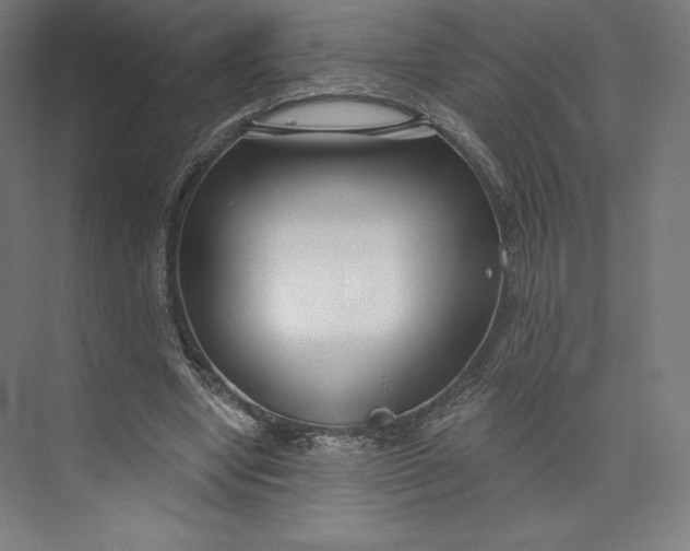 X0000073990442200609061002