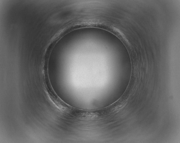 X0000073990443200609061002