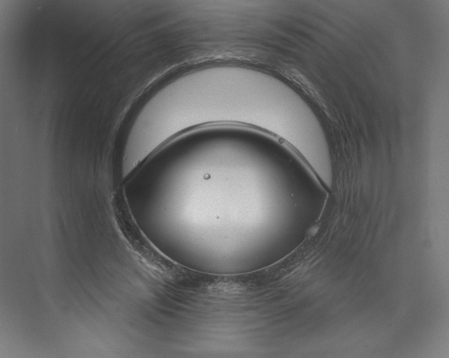 X0000073990444200609061002