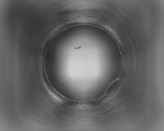 X0000073990445200609061002