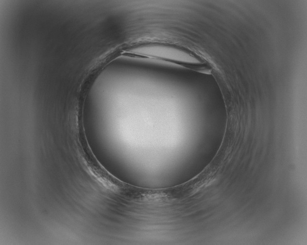 X0000073990446200609061002