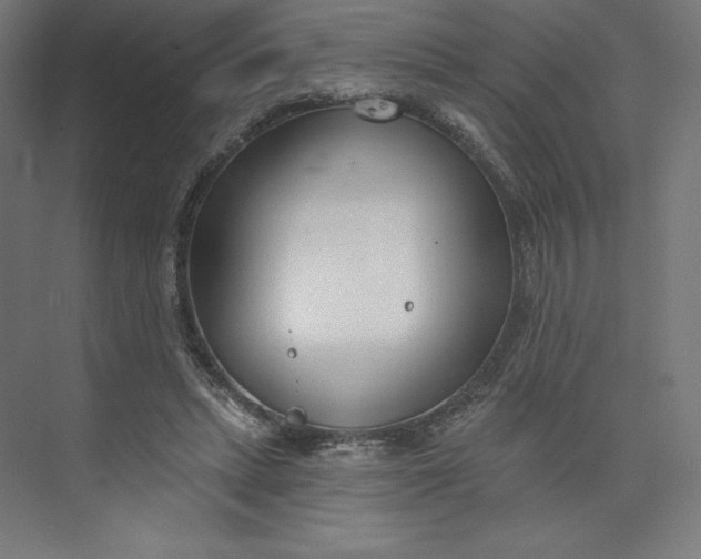 X0000073990447200609061002