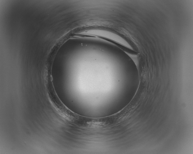 X0000073990448200609061002