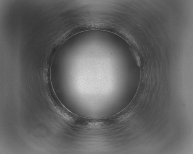 X0000073990450200609061002