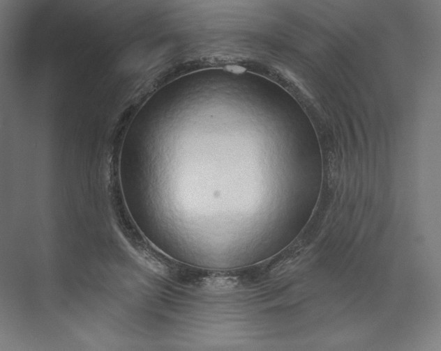 X0000073990451200609061002