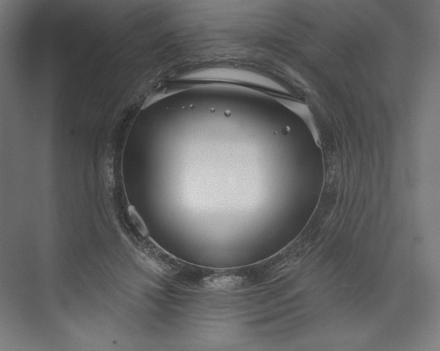 X0000073990452200609061002