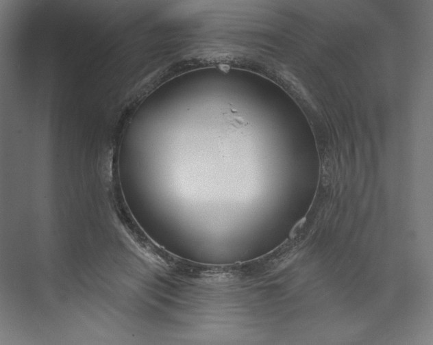 X0000073990454200609061002