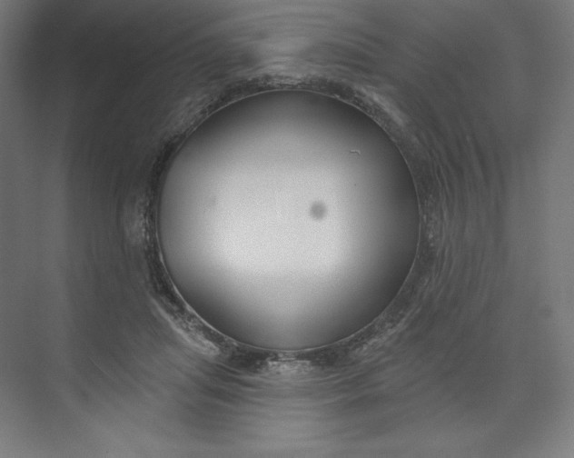 X0000073990455200609061002