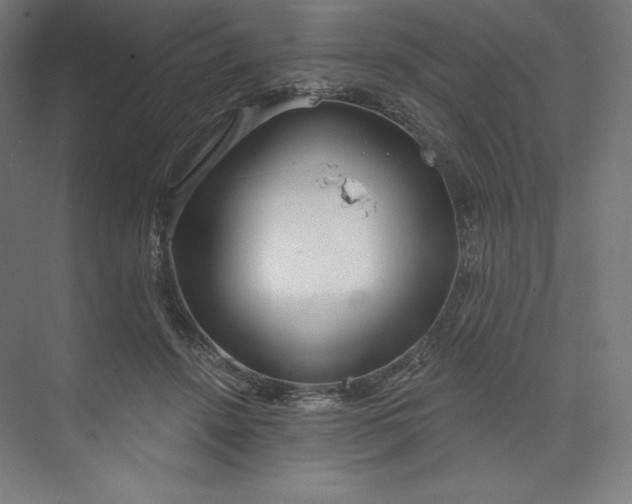 X0000073990456200609061002