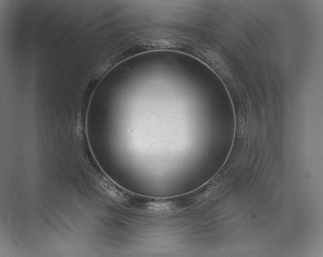 X0000073990457200609061002