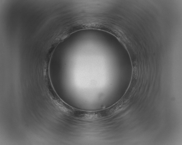 X0000073990458200609061002