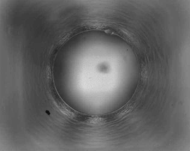 X0000073990459200609061002