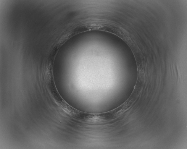 X0000073990460200609061002