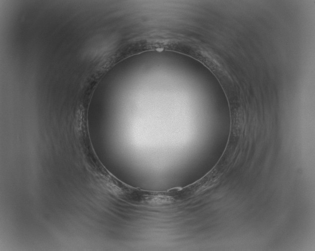 X0000073990463200609061002