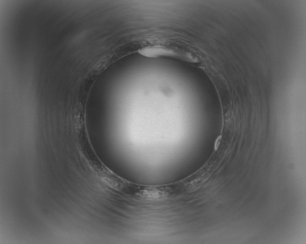 X0000073990464200609061002