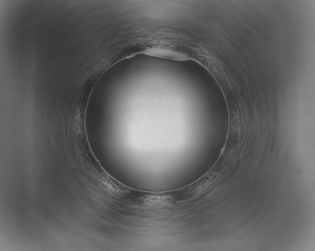 X0000073990465200609061002