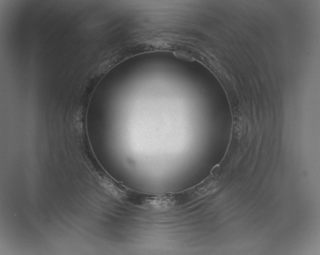 X0000073990466200609061002