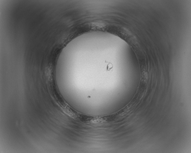 X0000073990468200609061002