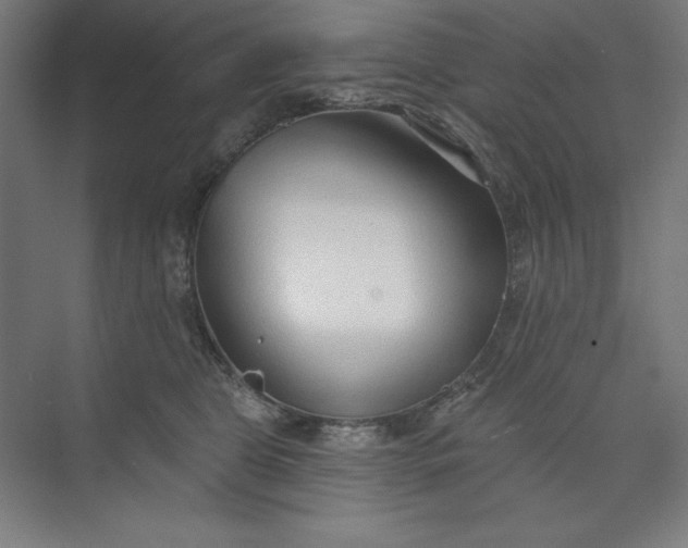 X0000073990469200609061002