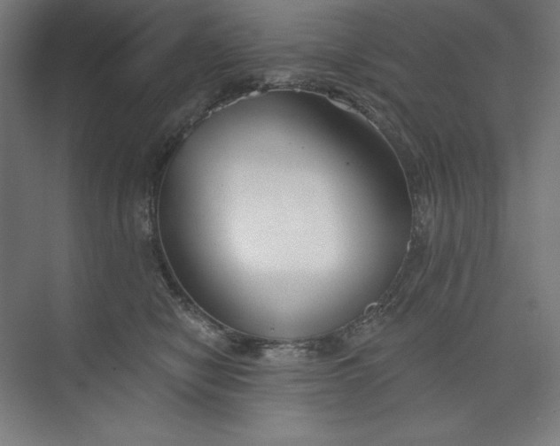 X0000073990470200609061002