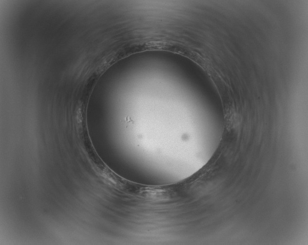 X0000073990472200609061002