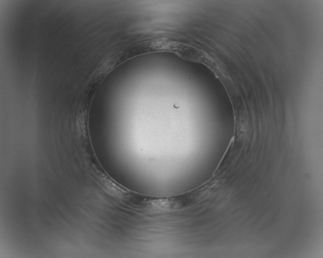 X0000073990473200609061002