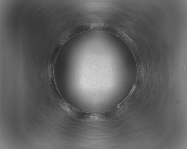 X0000073990475200609061002