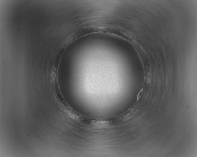 X0000073990476200609061002