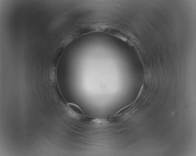 X0000073990477200609061002