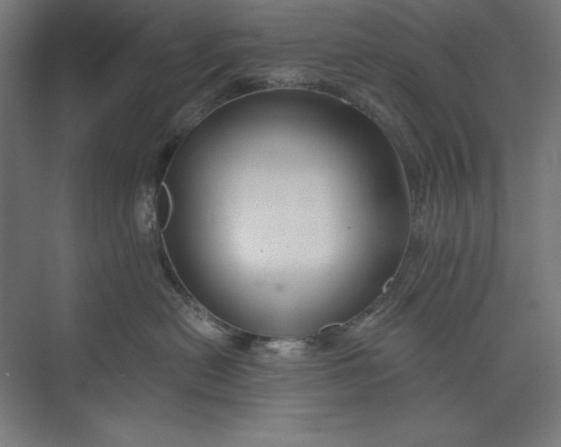 X0000073990478200609061002