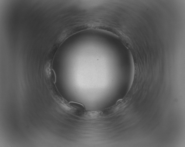 X0000073990479200609061002