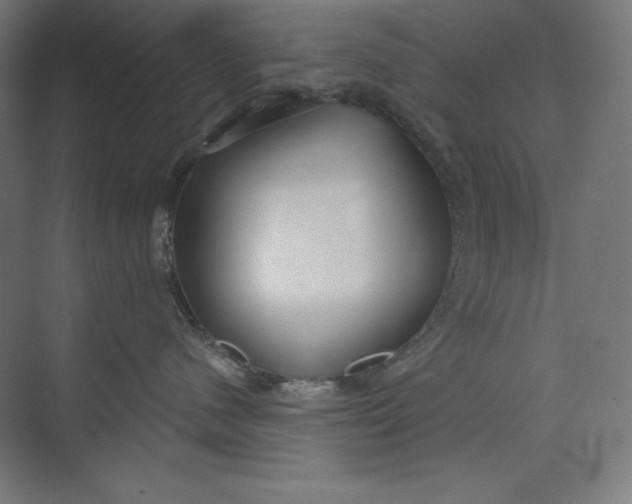 X0000073990480200609061002