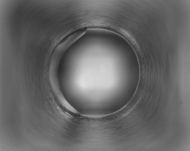 X0000073990481200609061001