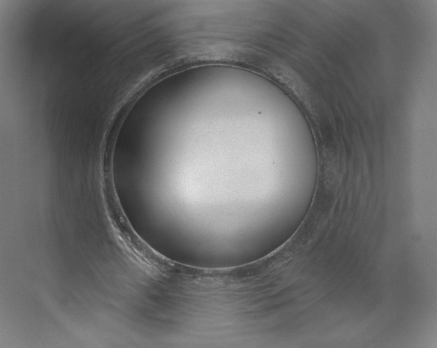 X0000073990482200609061001