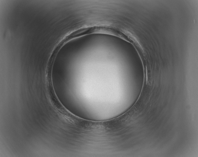 X0000073990483200609061001