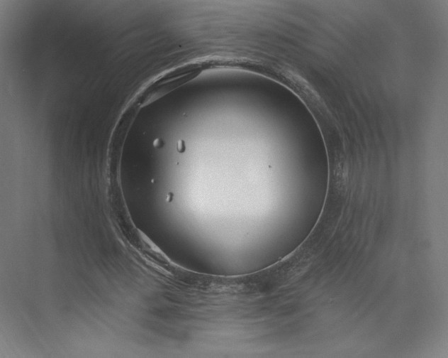 X0000073990484200609061001